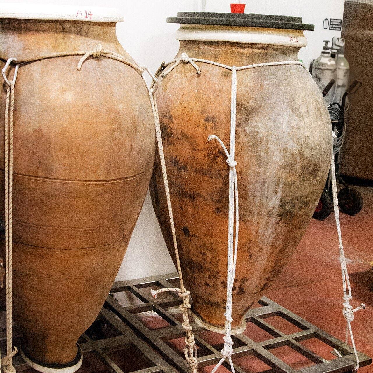 Deux grandes amphores en terre cuite posées sur des chariots métalliques dans un chai