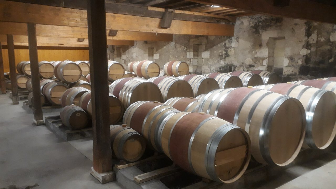 Rangées de barriques de chêne alignées dans un chai bordelais aux murs de pierre