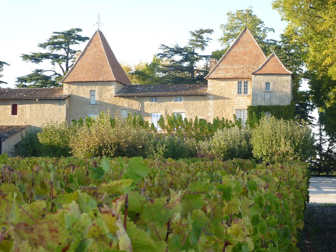 La façade sud du château Carbonnieux et ses tours, derrière ses vignes
