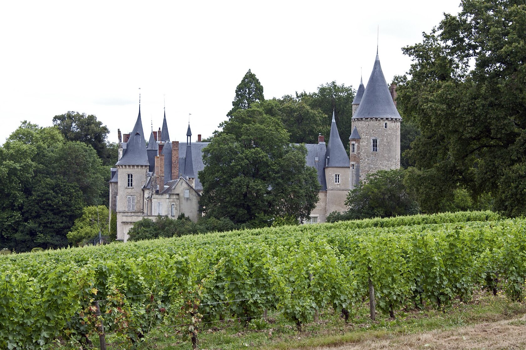 Le château de Tracy, ses tours coiffées d’ardoise et ses vignes de sauvignon au premier plan, à Tracy-sur-Loire