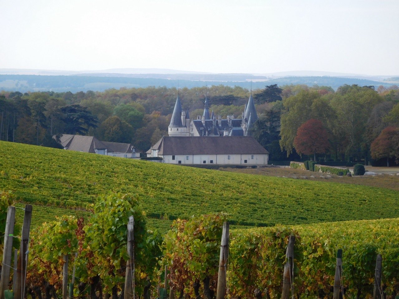 Le château du Nozet et le vignoble de pouilly-fumé, à Pouilly-sur-Loire