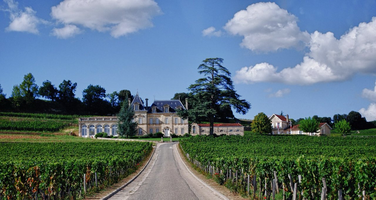 Une allée bordée de vignes menant au Château Fonplégade, sur le plateau de Saint-Émilion