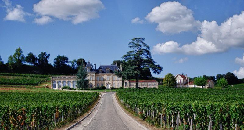 Une allée bordée de vignes menant à un château du plateau de Saint-Émilion