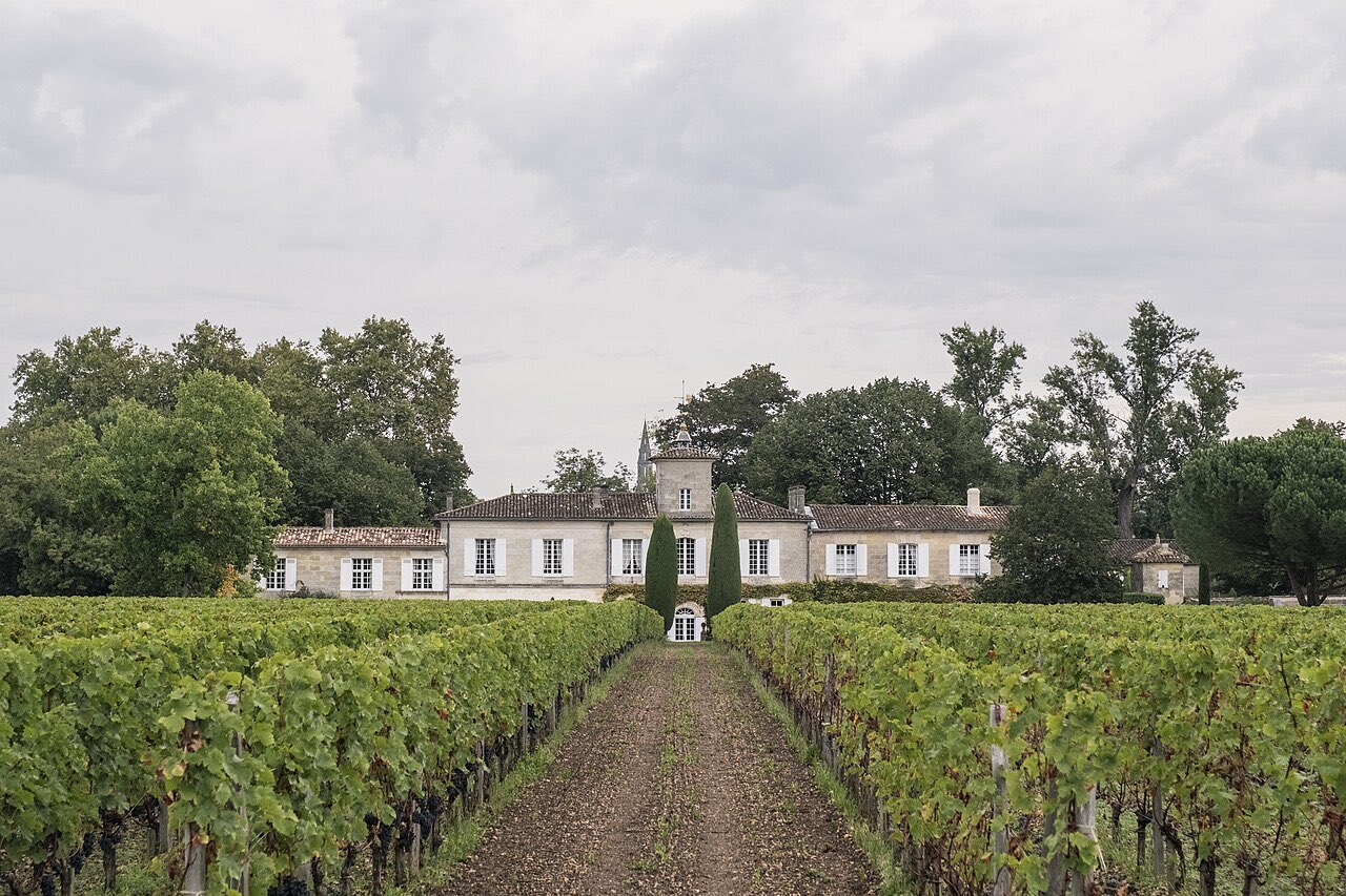 Une allée entre deux parcelles de vigne mène au château Gazin