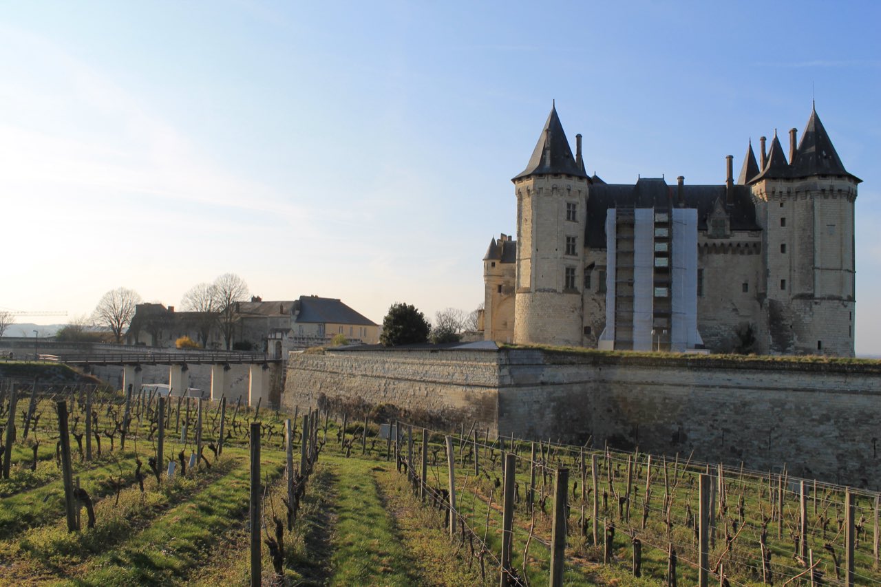 Le château de Saumur dominant le vignoble, en Maine-et-Loire