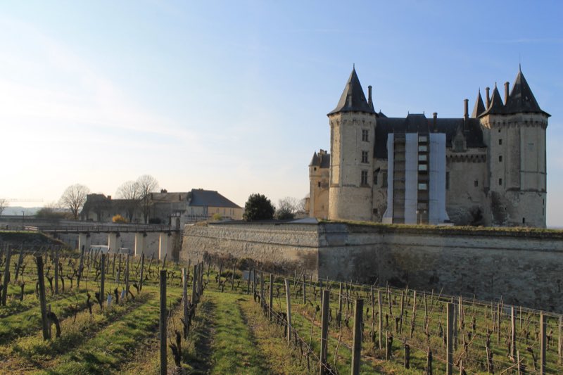 Le château de Saumur dominant le vignoble, en Maine-et-Loire