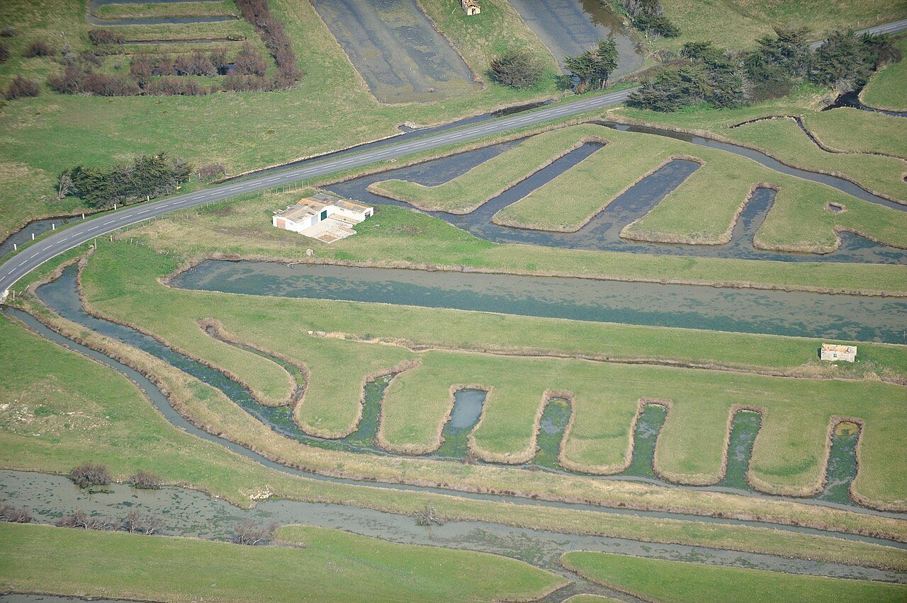 Vue aérienne de bassins d’affinage, les claires, entourés de prairies sur l’île d’Oléron