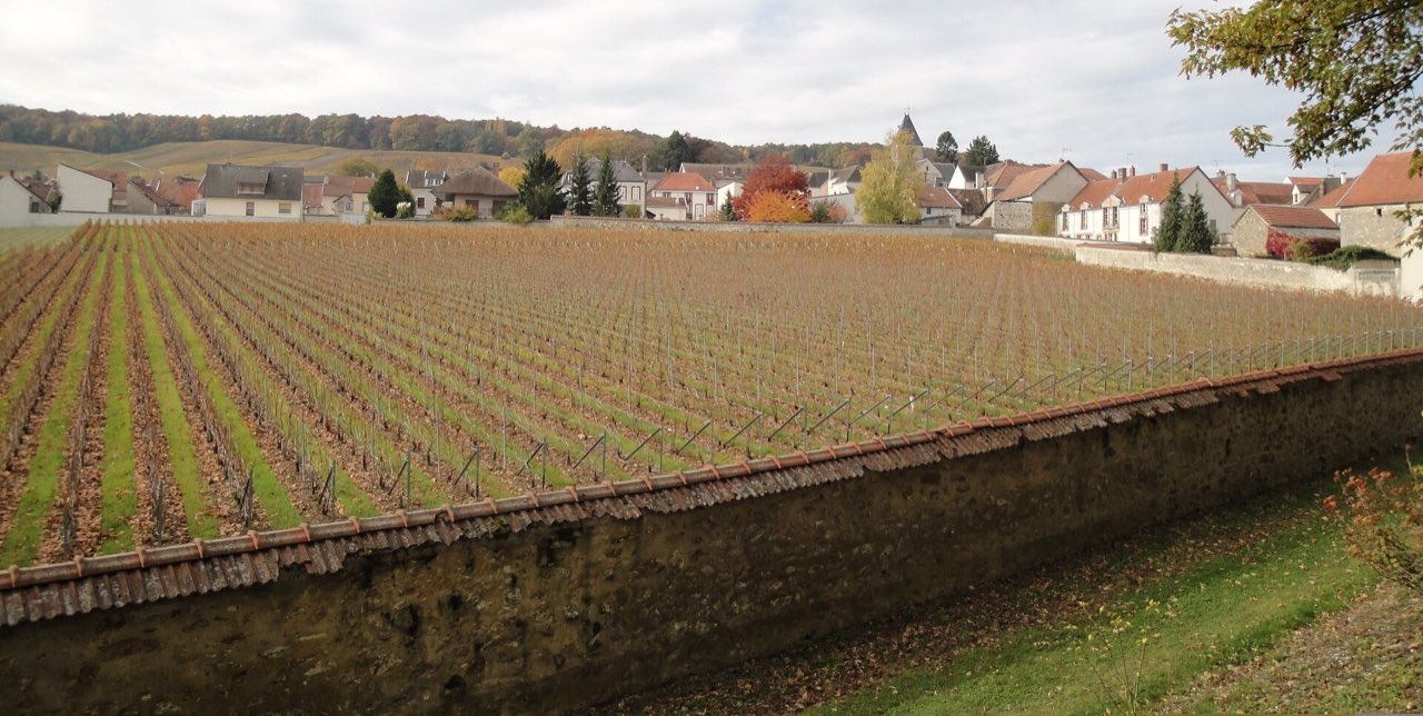 Le Clos du Mesnil, vignoble clos de murs au cœur du village du Mesnil-sur-Oger