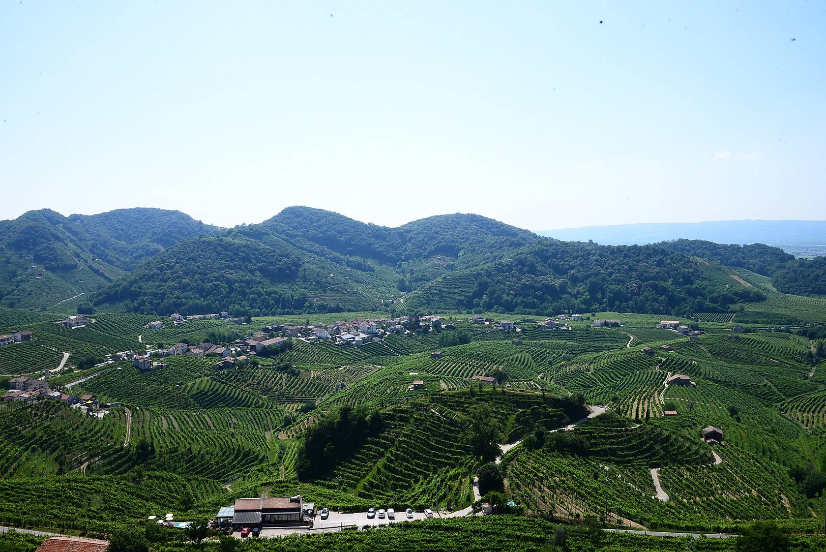 Les collines du Cartizze, à Valdobbiadene, couvertes de rangs de vigne serrés autour d’un hameau, devant des collines boisées