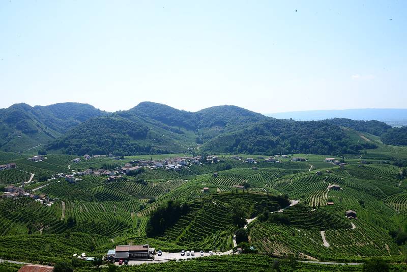 Les collines du Cartizze, à Valdobbiadene, couvertes de rangs de vigne serrés autour d’un hameau, devant des collines boisées