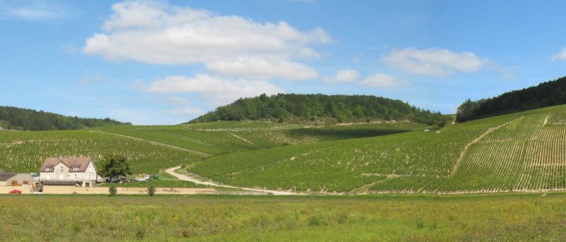 Le coteau des grands crus de Chablis, sur la rive droite du Serein