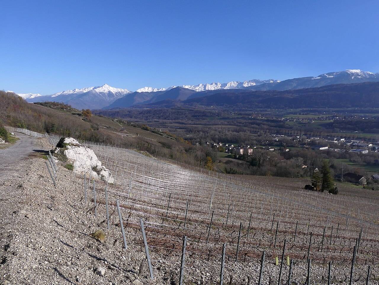 Un coteau de vigne caillouteux d’Arbin au-dessus de la Combe de Savoie, devant la chaîne de Belledonne enneigée