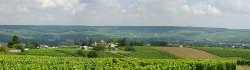Les coteaux historiques de Champagne, de Cumières à Mareuil-sur-Aÿ