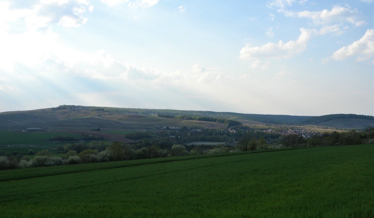 Les coteaux de Mutigny et d’Avenay, vus depuis Bisseuil