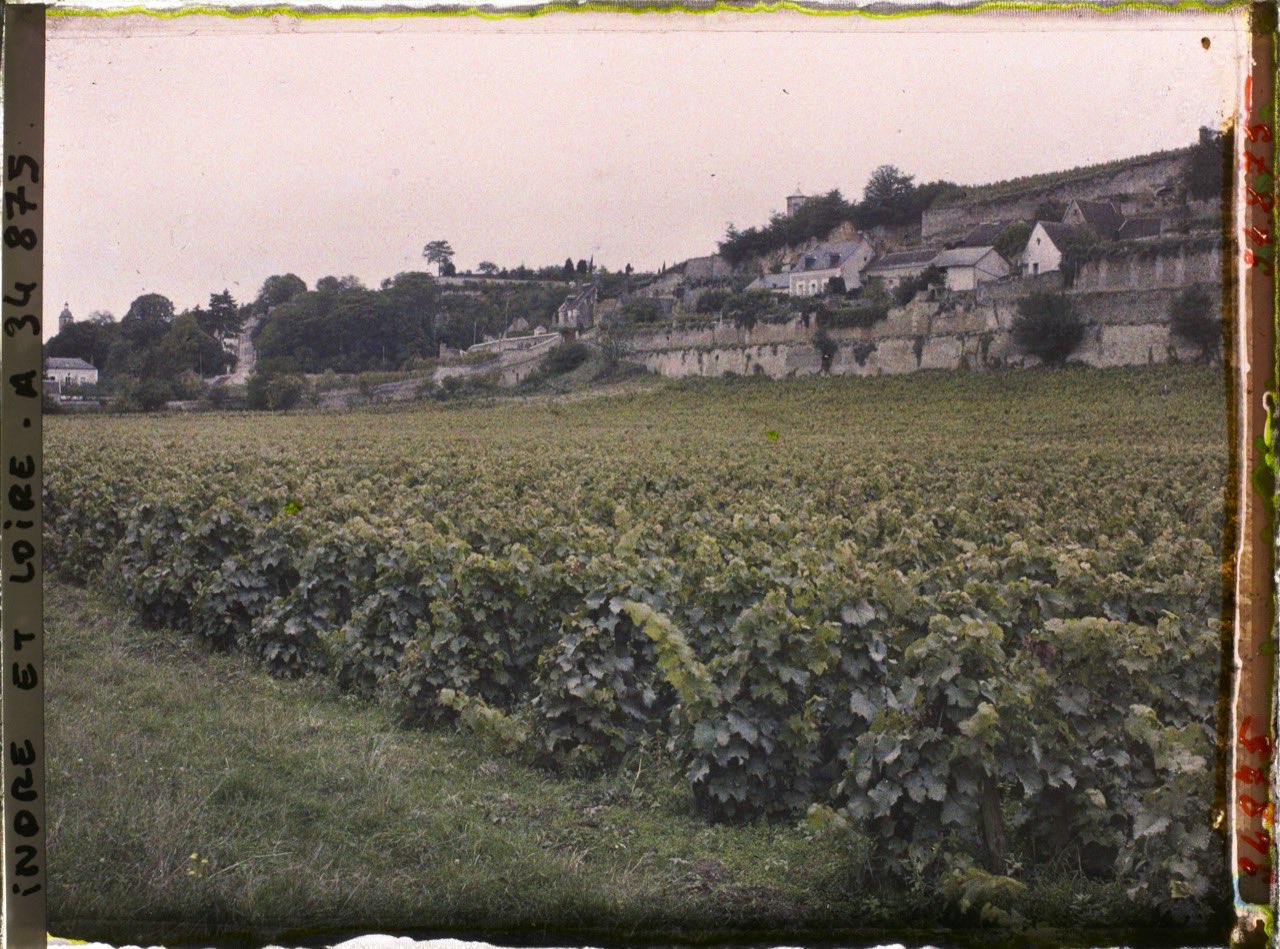 Les coteaux plantés de vignes de Vouvray, en Touraine