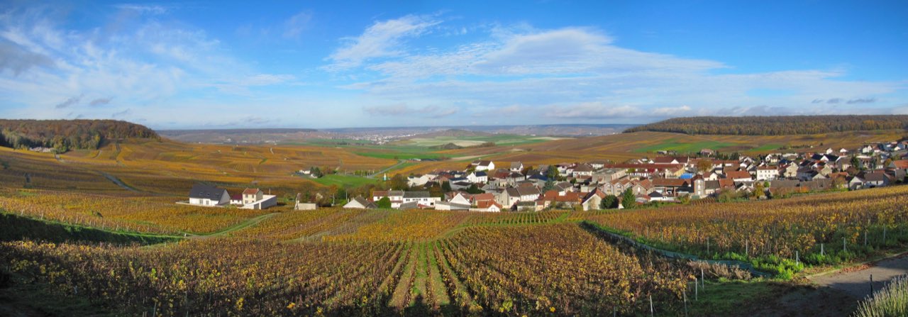 Le village de Cramant et son vignoble de chardonnay en Côte des Blancs