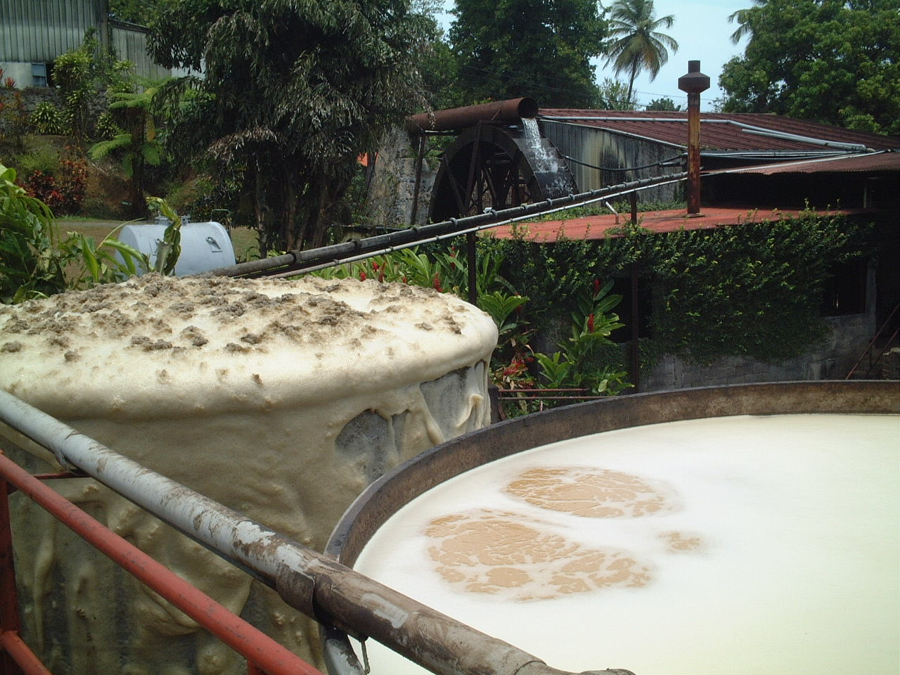 Cuves de fermentation du jus de canne dans une distillerie de rhum en Guadeloupe