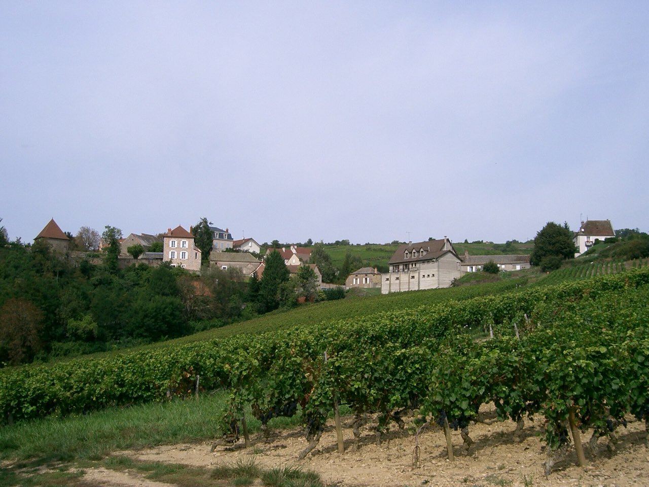 Le village de Dezize-lès-Maranges au-dessus de ses vignes, en Côte de Beaune
