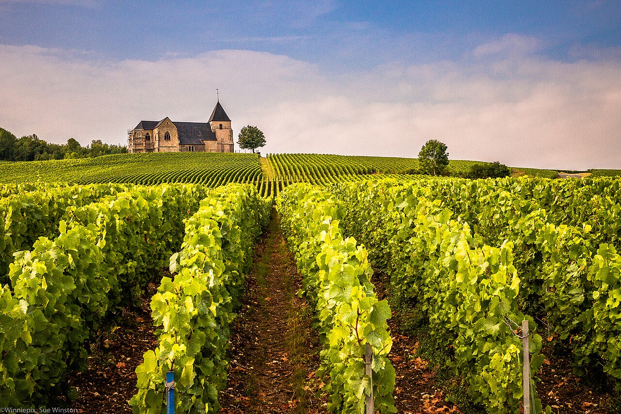 L’église Saint-Martin de Chavot au milieu des vignes