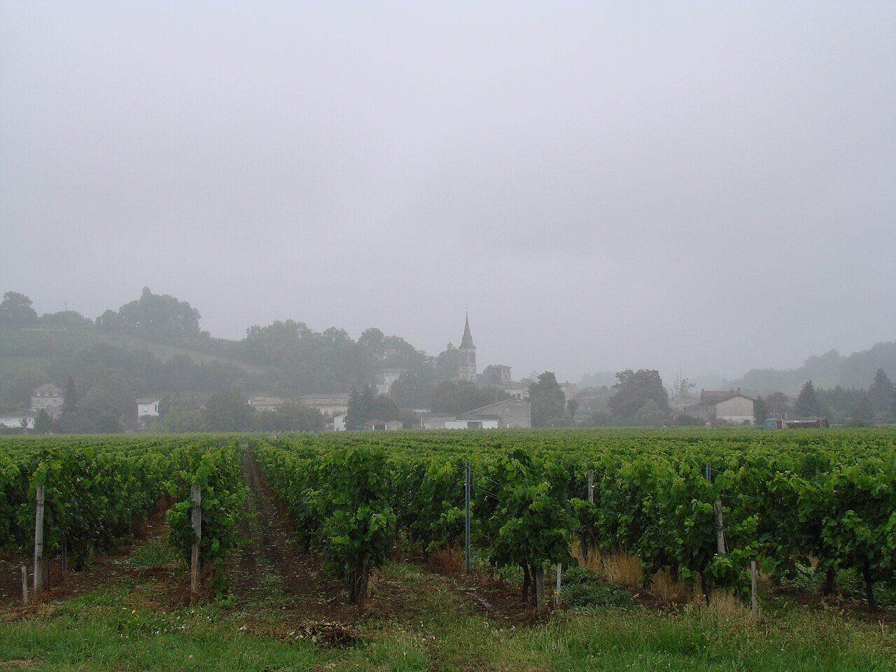 L’église de Saint-Michel-de-Fronsac au-dessus du vignoble de Fronsac