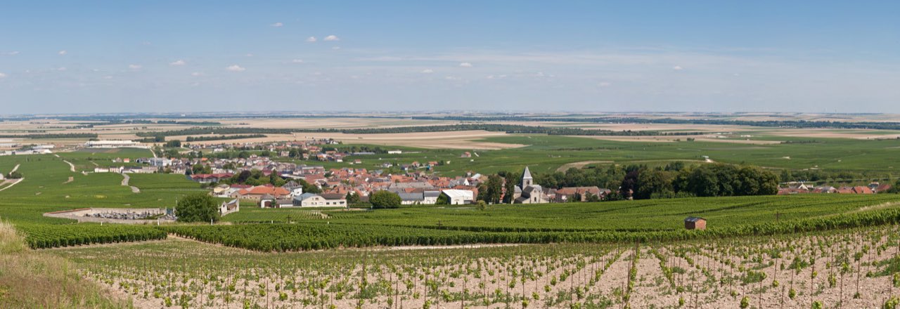 Le village du Mesnil-sur-Oger et son vignoble de chardonnay, en Côte des Blancs