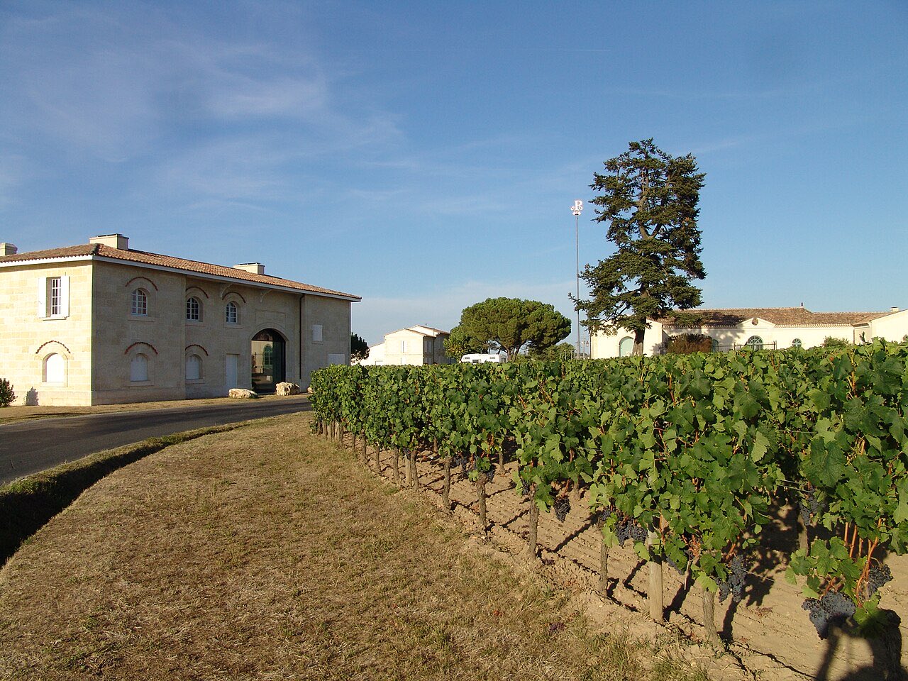 Le bâtiment de Pétrus, l’emblème de la propriété en haut d’un mât et une rangée de vignes chargées de raisins noirs