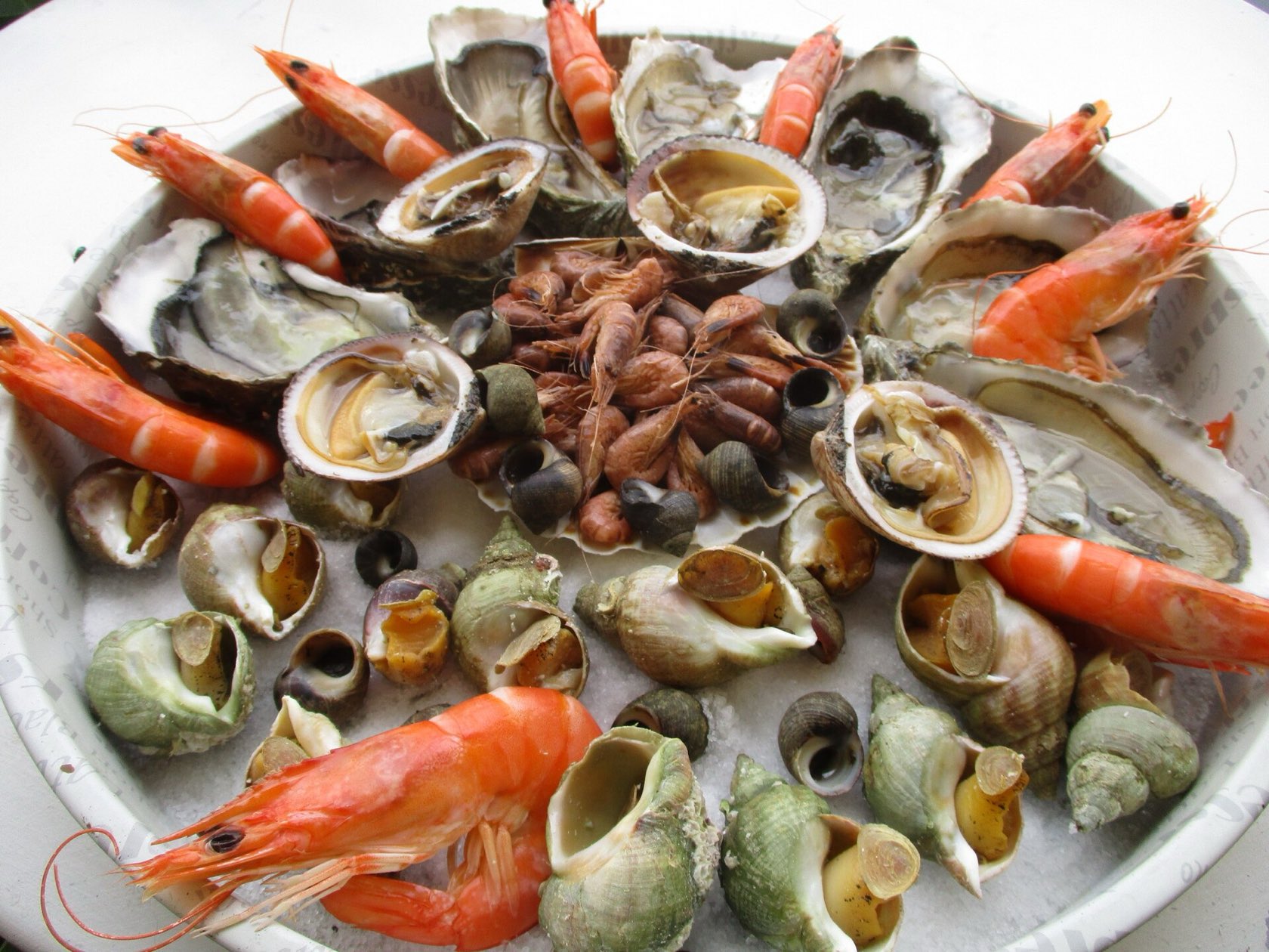 Un plateau de fruits de mer garni d’huîtres, de bulots, de palourdes et de crevettes