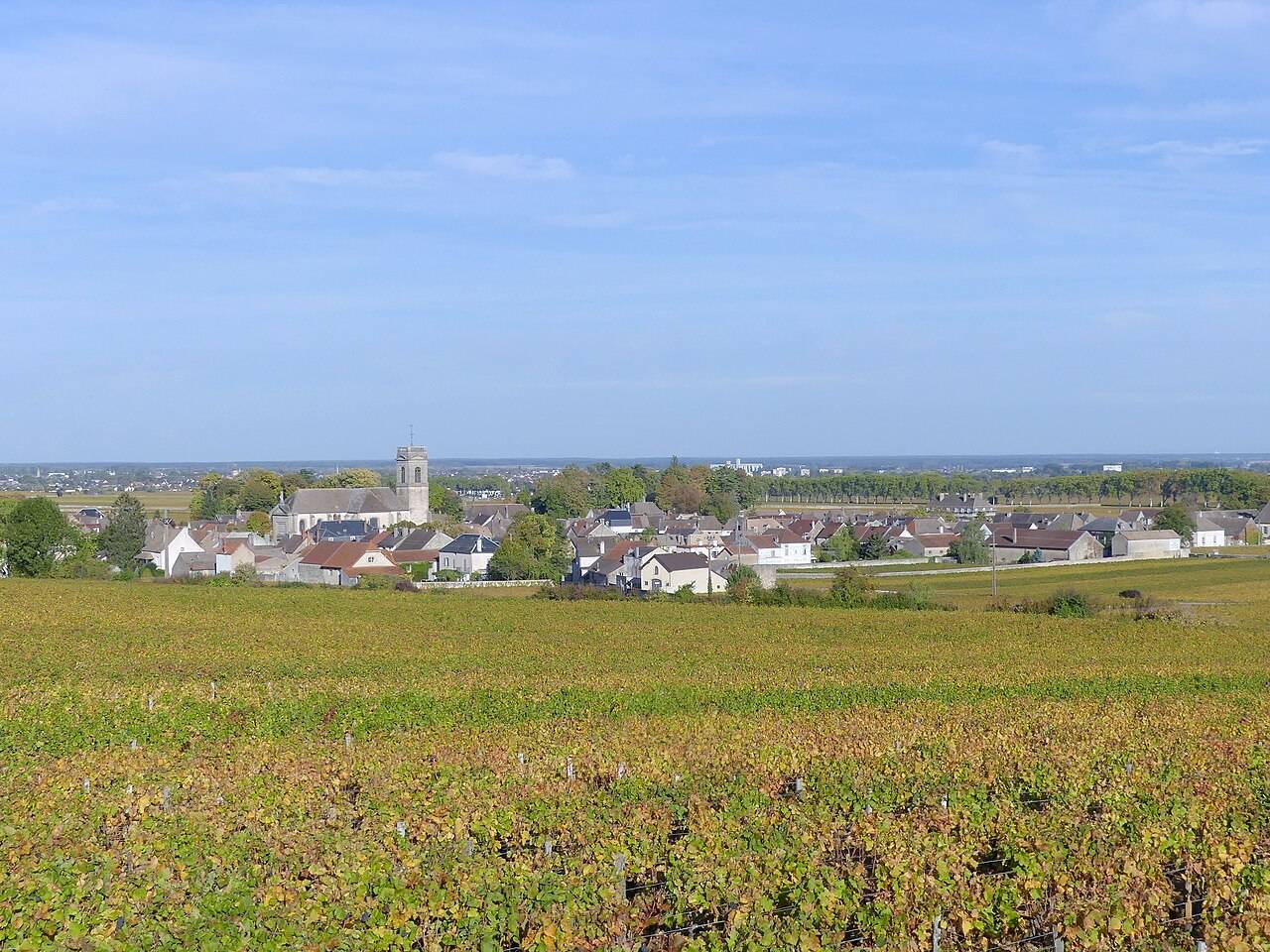 Le village de Pommard au milieu de ses vignes en automne, près de Beaune