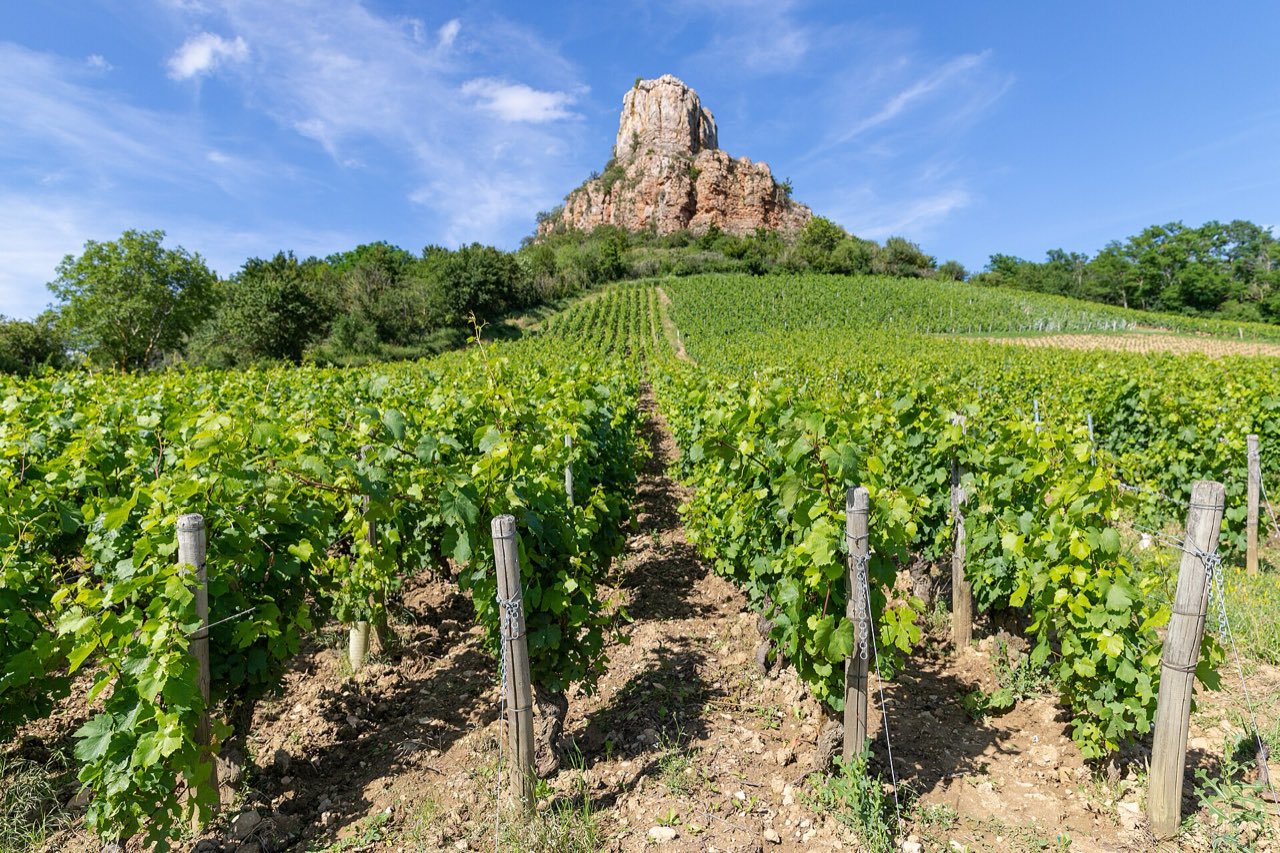 La Roche de Solutré dominant les rangs de vigne du Mâconnais