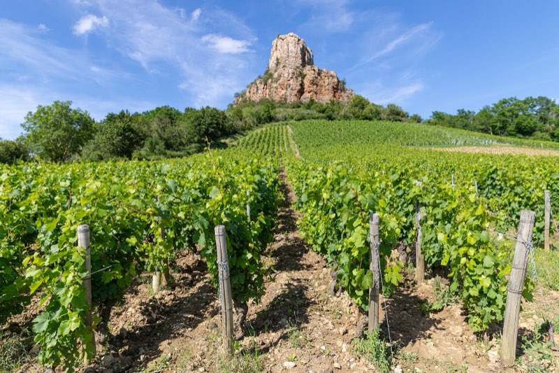 La Roche de Solutré dominant les vignes du Mâconnais