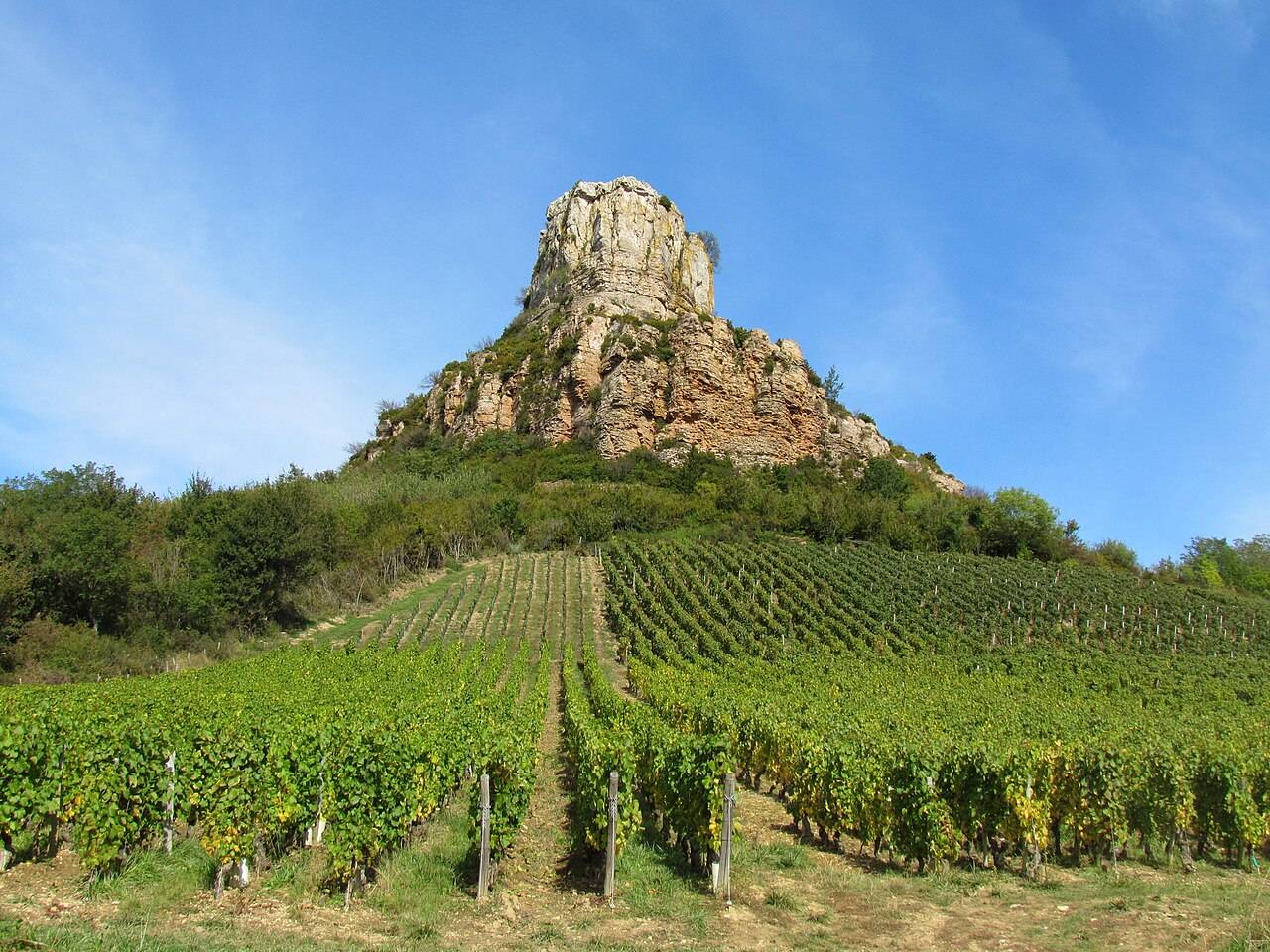 Les vignes de Pouilly-Fuissé au pied de la roche de Solutré, sous un ciel bleu