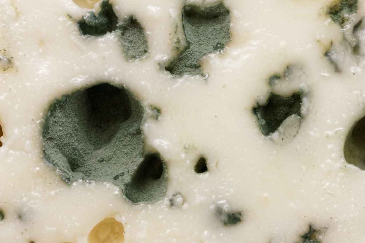 Une part de roquefort, fromage à pâte persillée de l’Aveyron