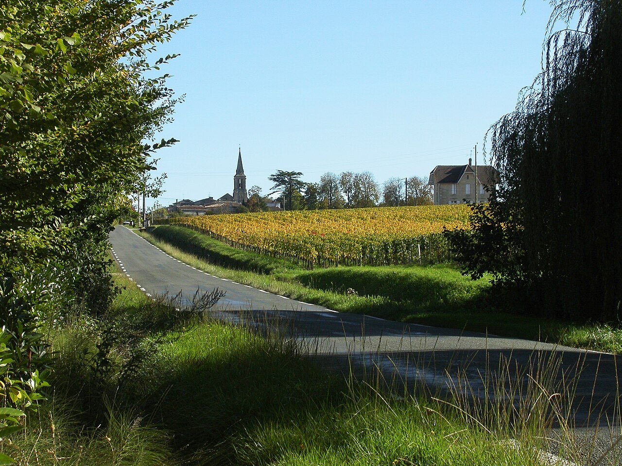 Vignoble de Saint-Émilion vu depuis les hauteurs, village au loin