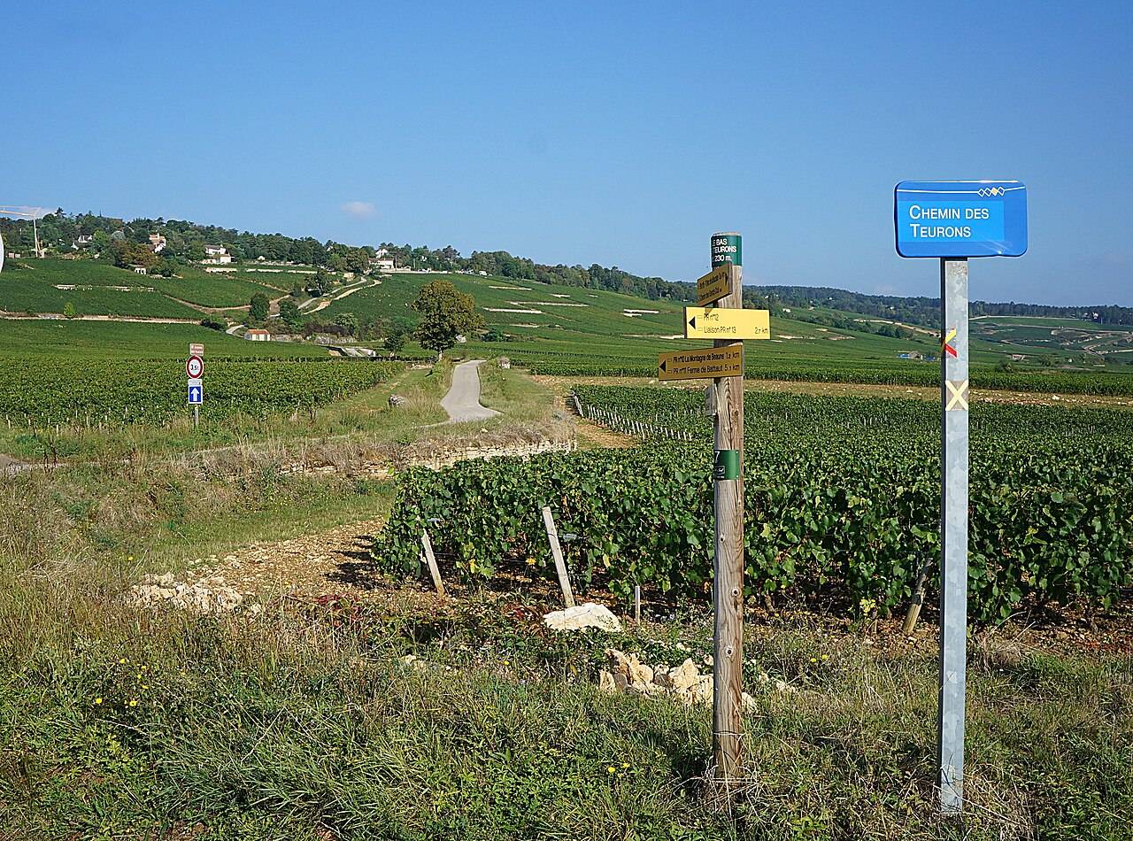 Les panneaux de randonnée et la plaque du chemin des Teurons, au bord des vignes de Beaune, sous un ciel bleu