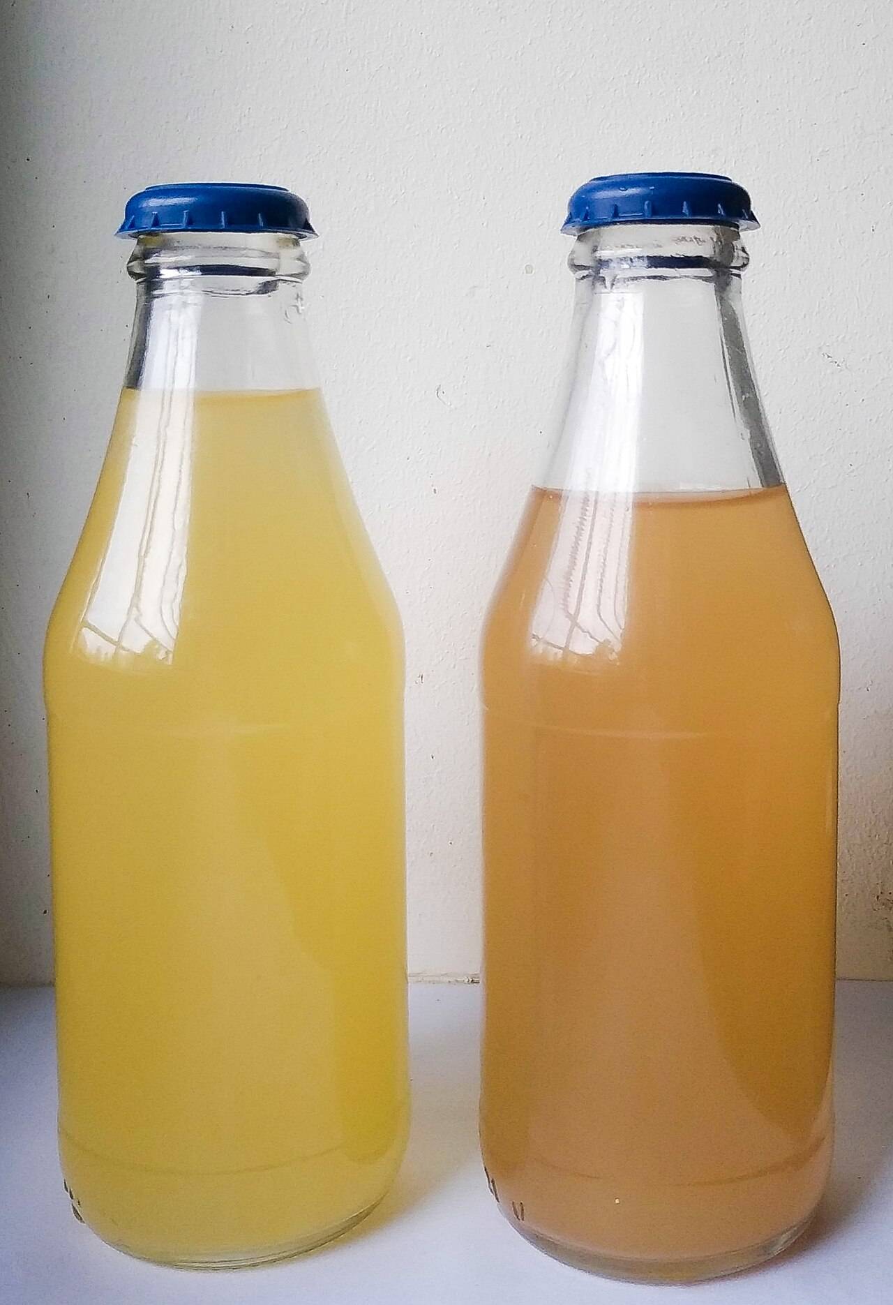 Deux petites bouteilles du même vin blanc trouble, la seconde nettement plus foncée que la première