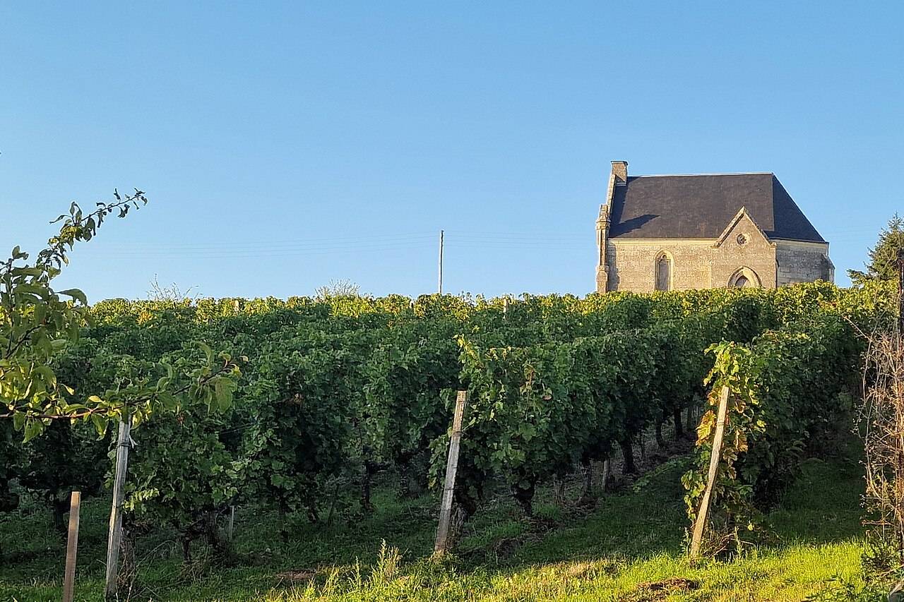 Des rangs de vigne et une chapelle en pierre, au Clos Monplaisir, dans l’appellation Chinon