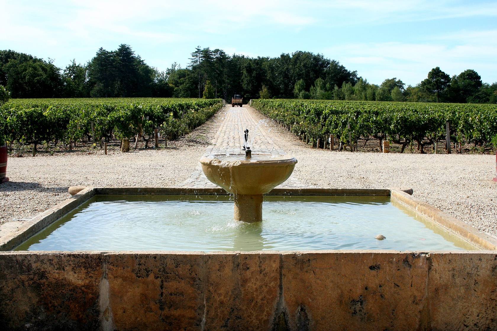 Une fontaine de pierre devant les rangs de vigne du Château Smith Haut Lafitte, à Martillac