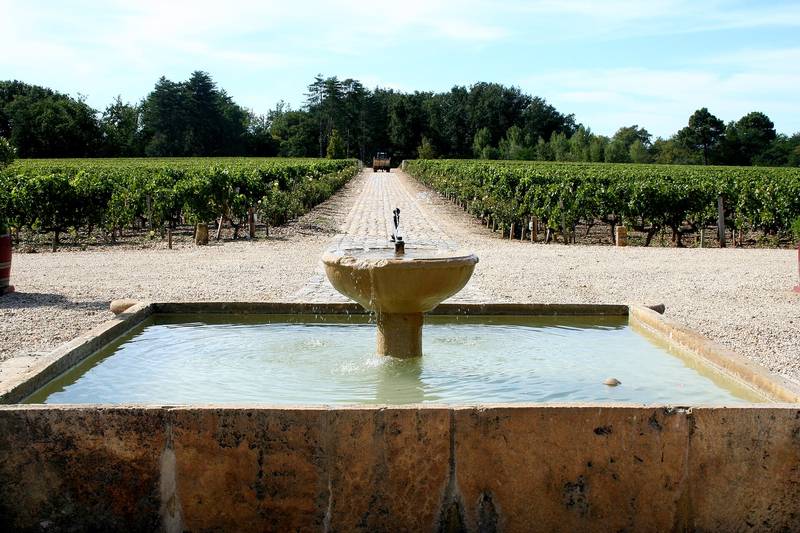 Une fontaine de pierre devant les rangs de vigne du Château Smith Haut Lafitte, à Martillac