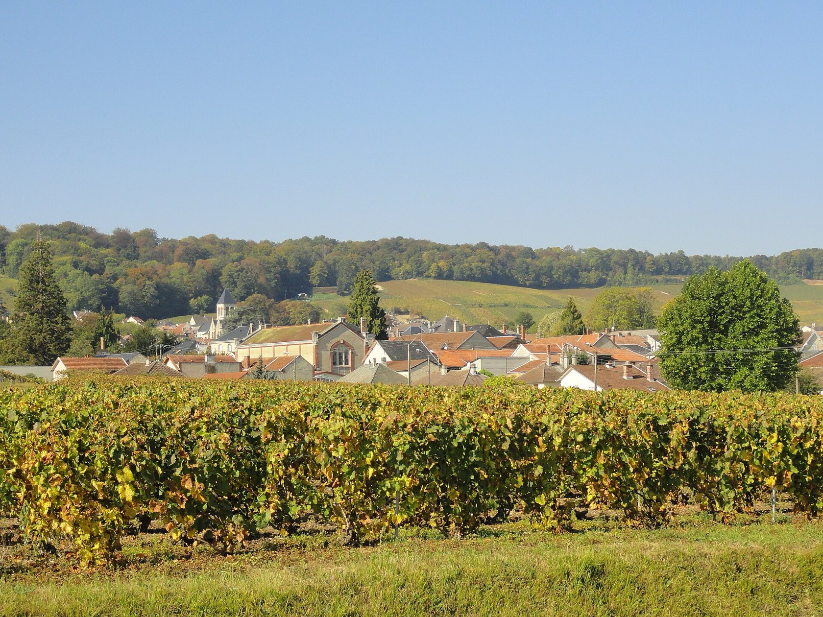 Les vignes d’Avize au premier plan et le vieux village derrière, vus d’un chemin de vigne entre Oger et Avize