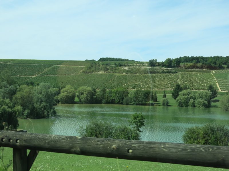 Le vignoble de Chablis, dans l’Yonne