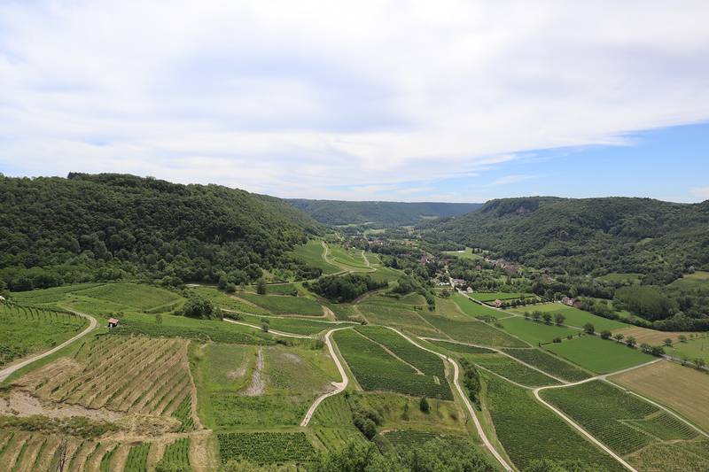 Les vignes en terrasses de Château-Chalon, dans le Jura, dominant une vallée boisée