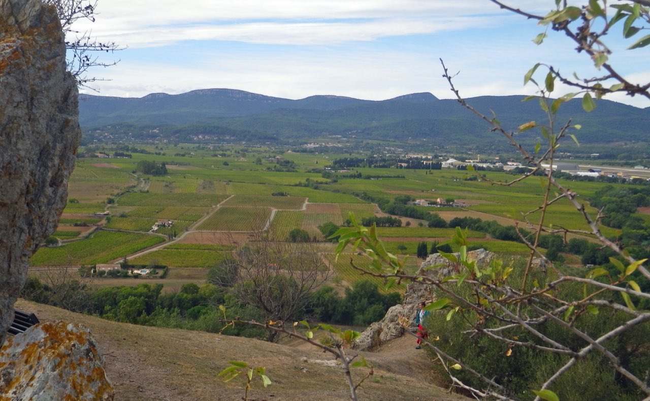 Le vignoble des Côtes de Provence entre Cuers et Pierrefeu-du-Var