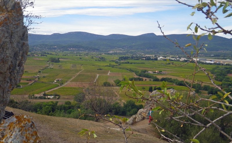 Le vignoble des Côtes de Provence entre Cuers et Pierrefeu-du-Var