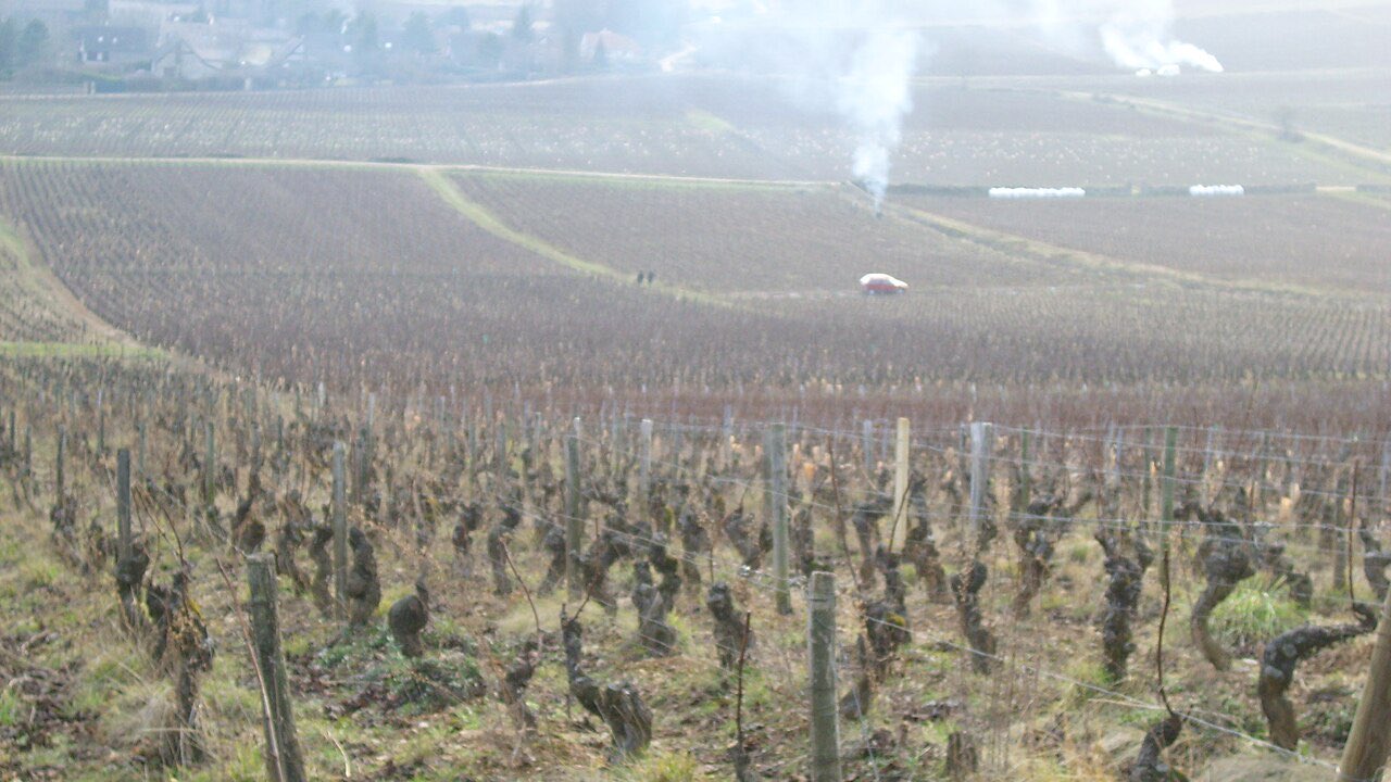 Le vignoble de Givry, en Côte Chalonnaise