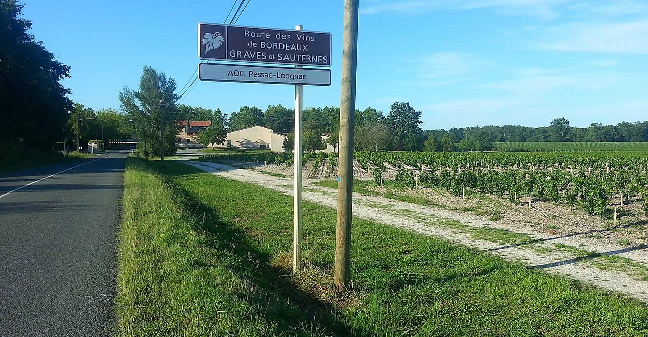 Un panneau «&nbsp;Route des vins de Bordeaux, Graves et Sauternes, AOC Pessac-Léognan&nbsp;» au bord d’une route qui longe des rangs de vigne