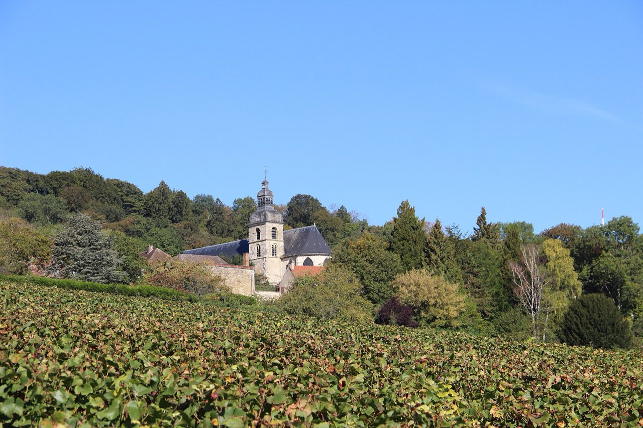 L’église de Hautvillers dominant les vignes, dans la vallée de la Marne