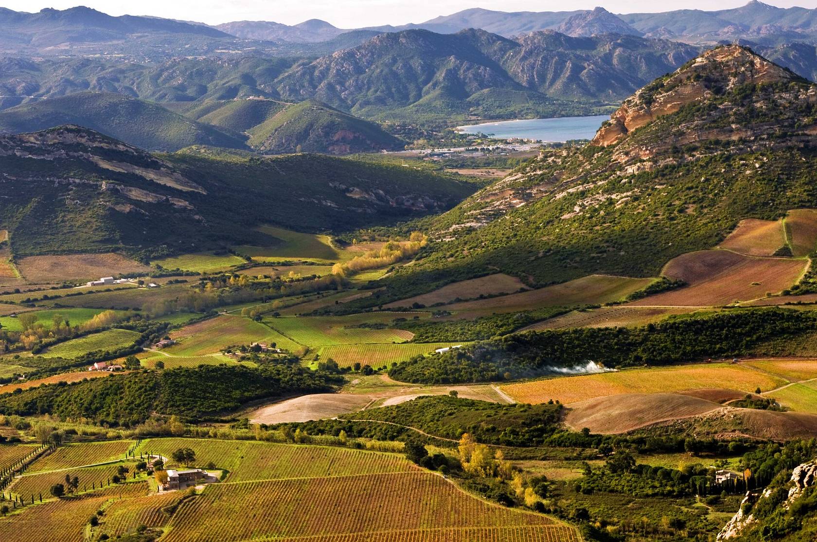 Le vignoble de Patrimonio vu d’en haut, ses parcelles aux couleurs d’automne descendant vers le golfe de Saint-Florent, entre des collines de maquis