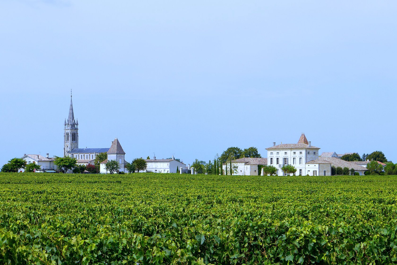Le vignoble de Pomerol au premier plan, avec le clocher de l’église Saint-Jean et le bourg