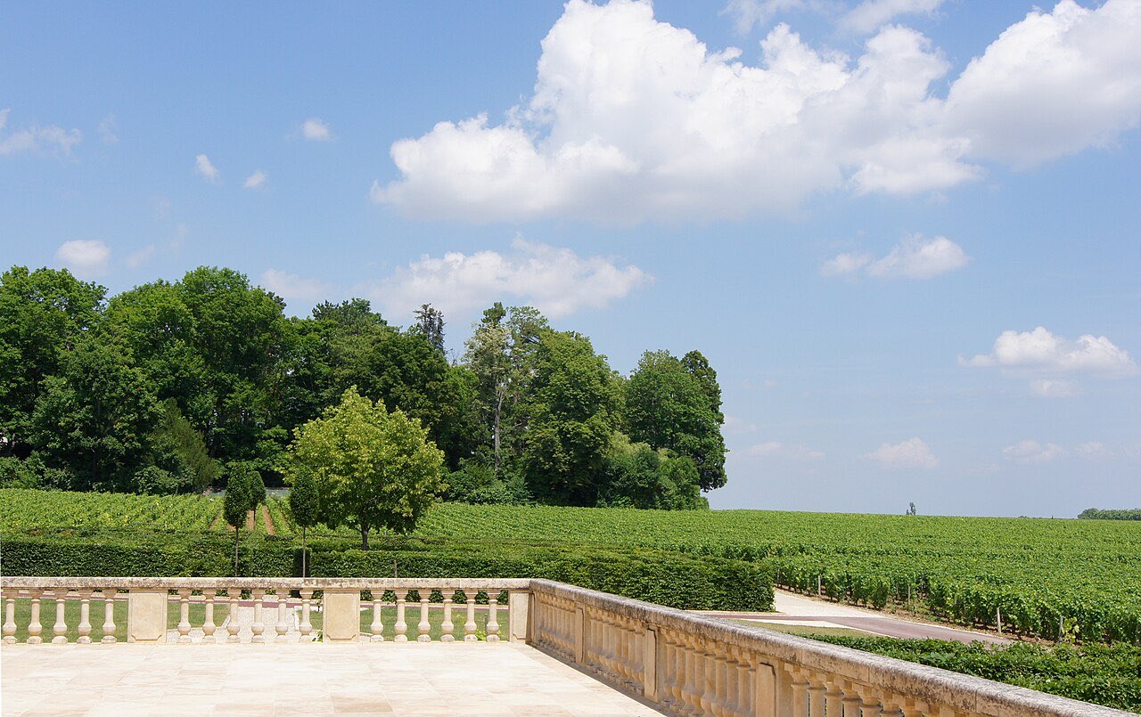 Terrasse de pierre dominant les vignes de Pommard, en Bourgogne
