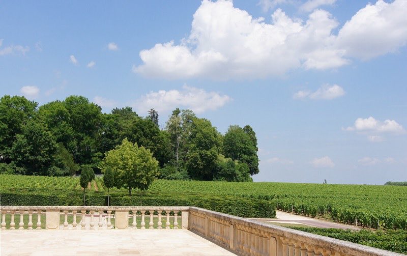 Terrasse de pierre dominant les vignes de Pommard, en Bourgogne